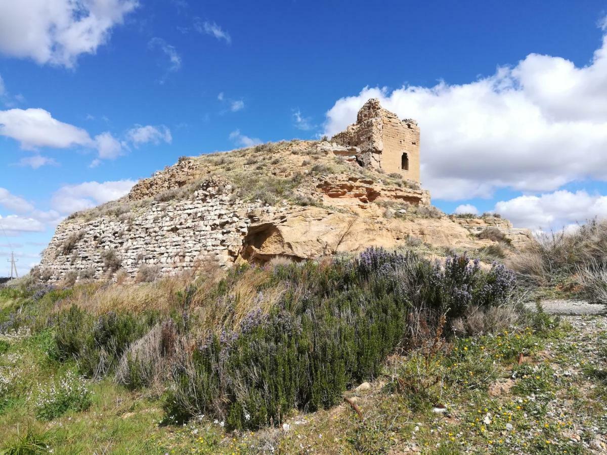 Ca L'Aviador Villa Sarroca de Lleida Kültér fotó